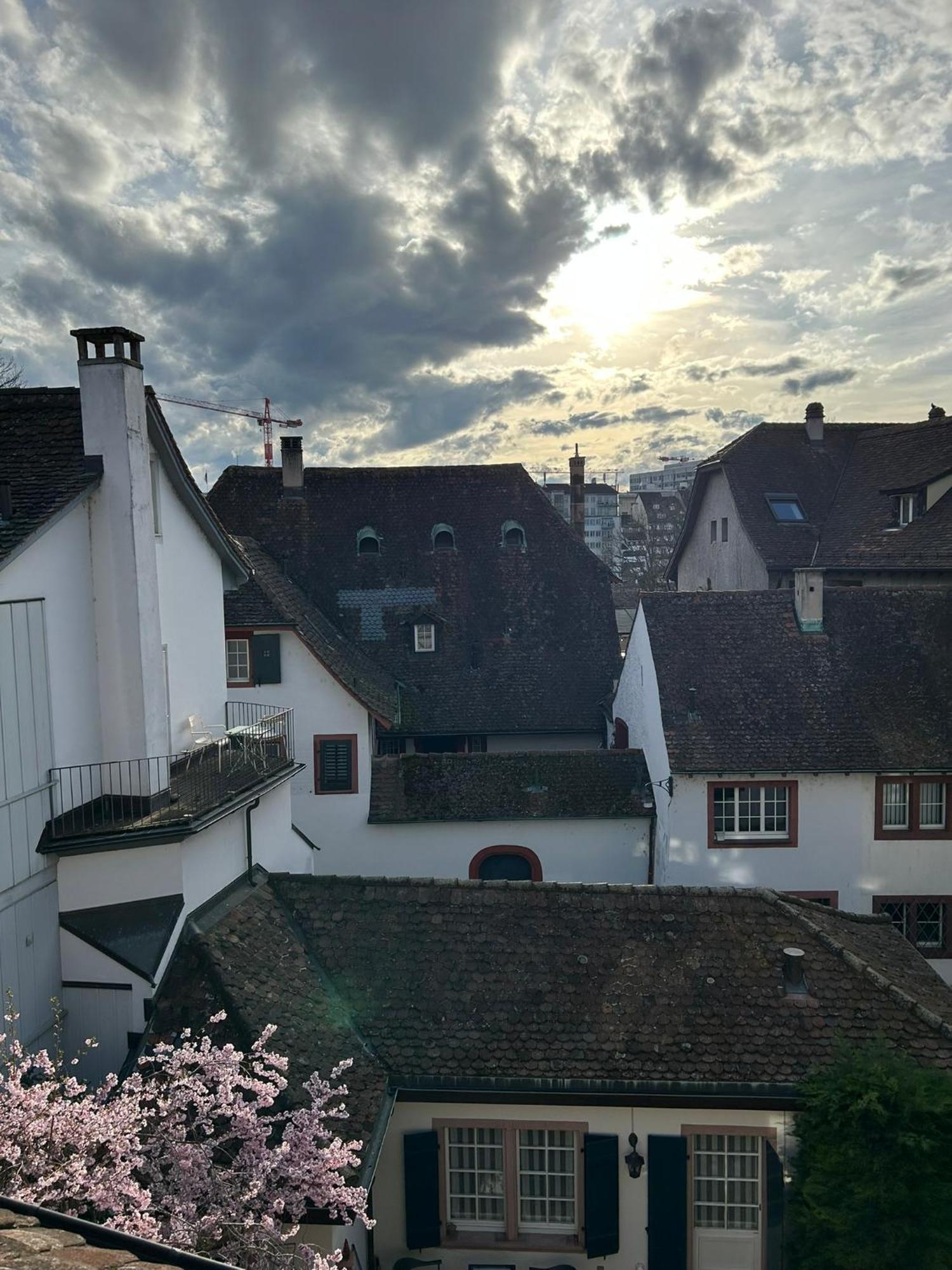Rheinstream Guesthouse Basel Exterior photo